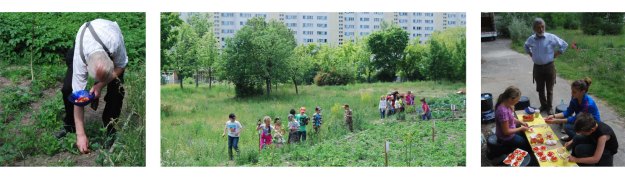 Bilder von Kristian Ritzmann