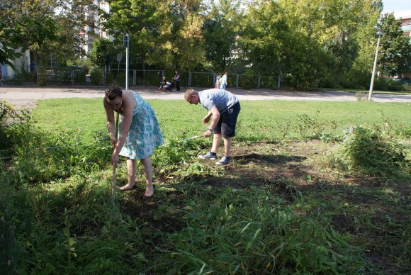 Familie W. beim Jäten