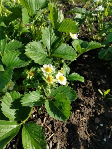 IMG_20180507_173657600_HDR